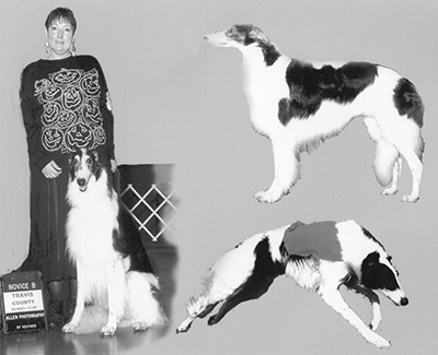 Top Versatility Borzoi 1999